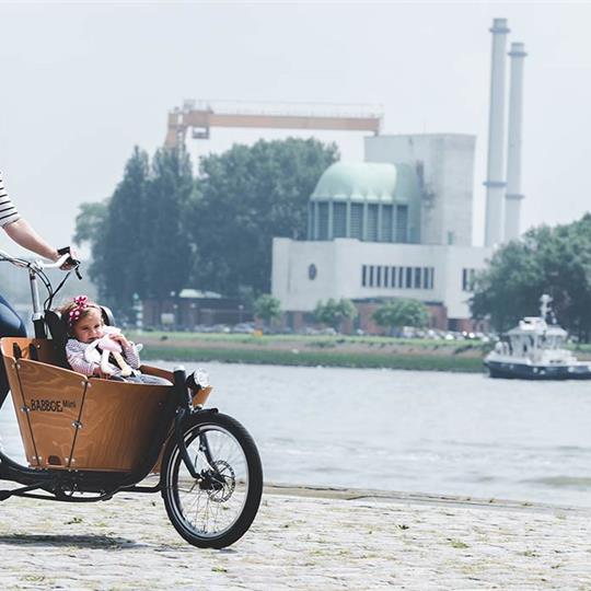 Babboe Mini-E 