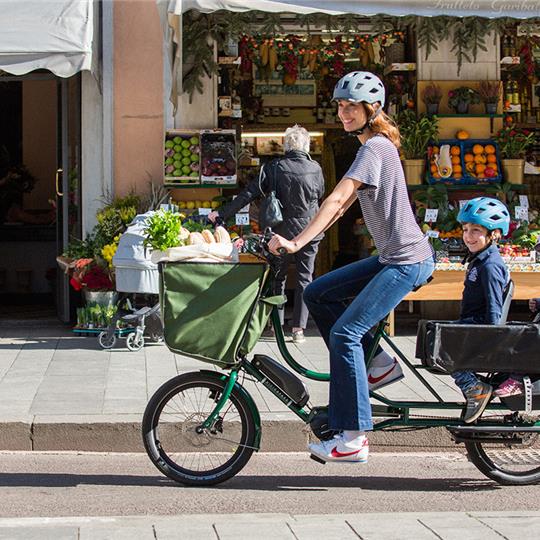 Bicicapace E-JL EP6
